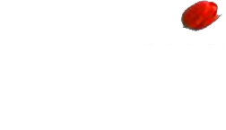 The Queens Park Hotel